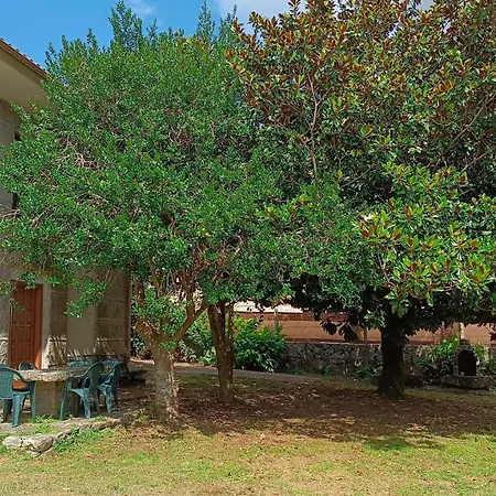 Casa Trincado 3* Гондомар